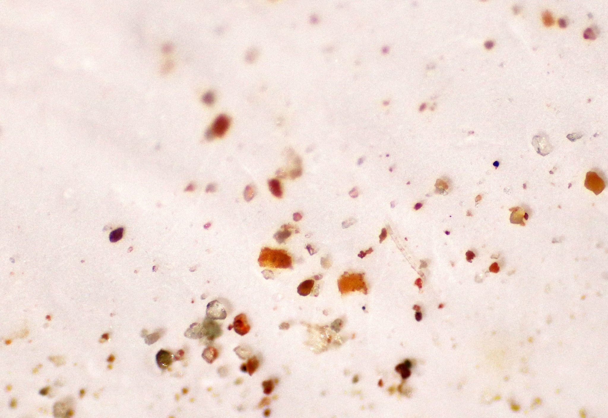 Was sind Mikroplastikpartikel und wie gelangen sie in die Umwelt? - nordesign GmbH