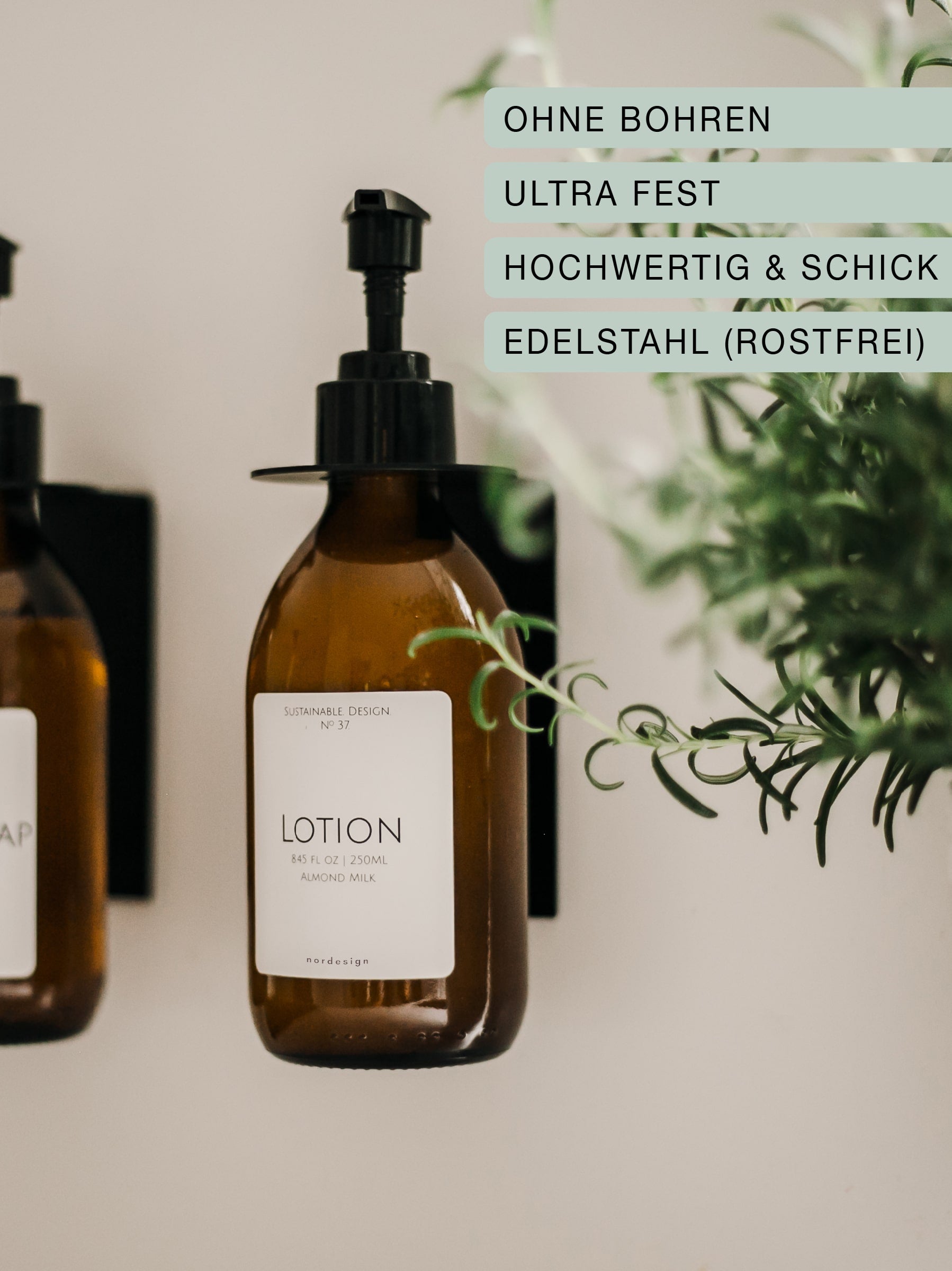 Lotion in einer schwarzen Wandhalterung in der Küche mit Pflanze