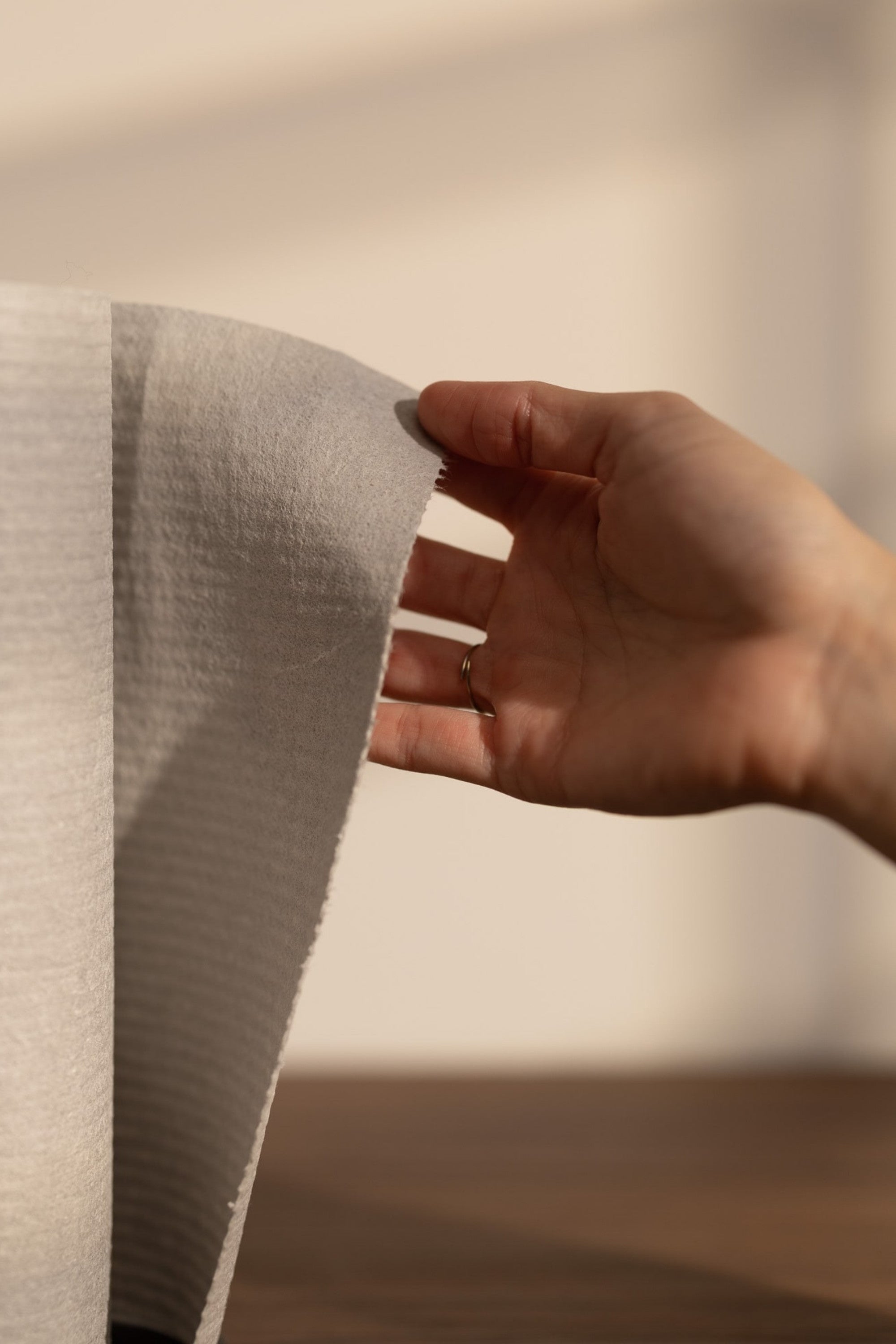 Haushaltsrolle (12 Schwammtücher)