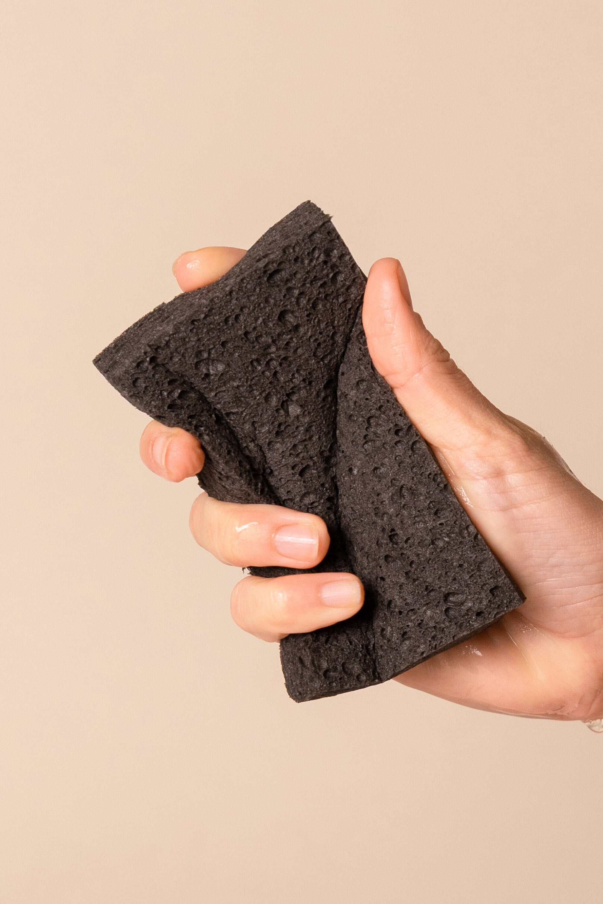 Pop-Up Schwamm (im Set)