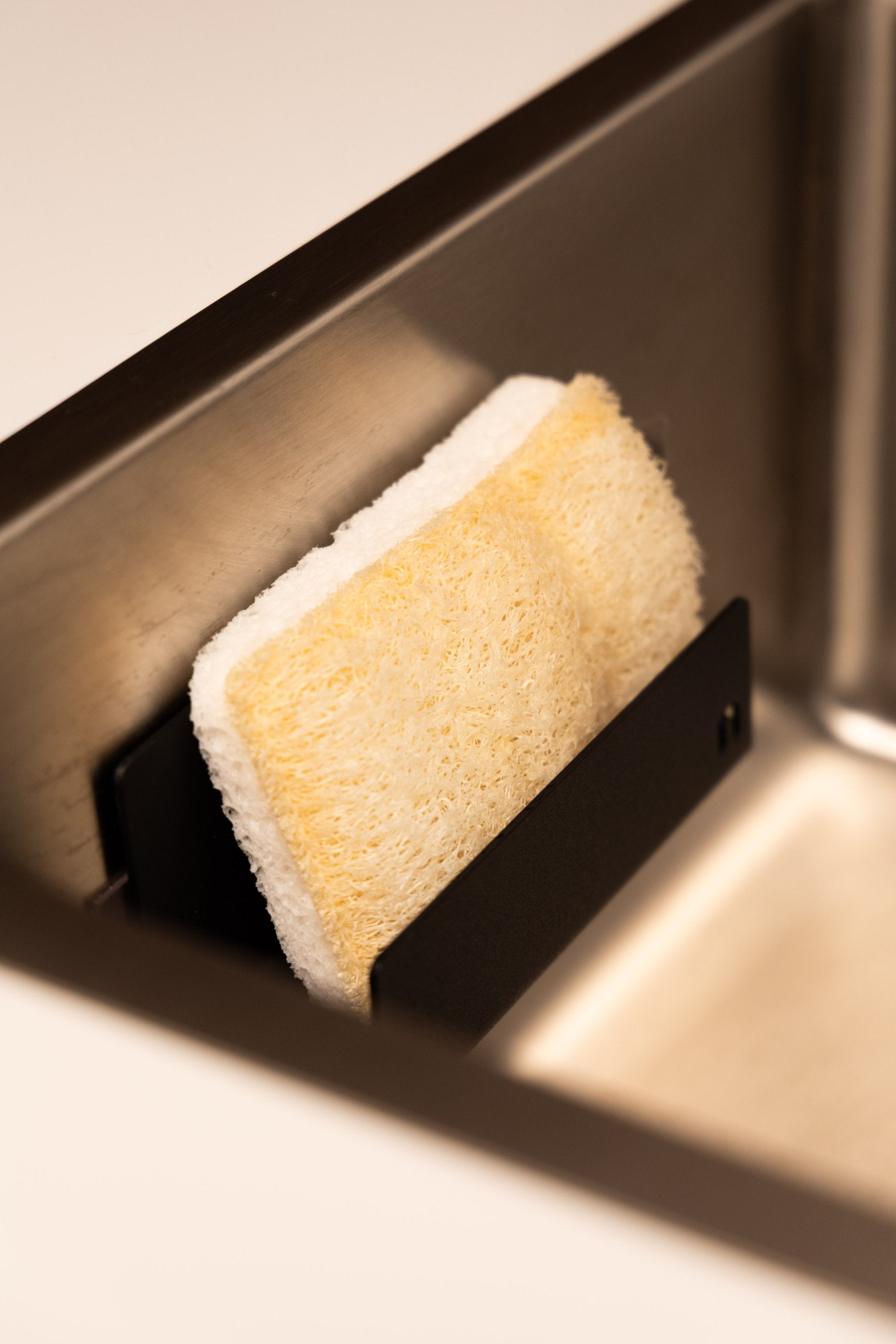 Scheuerschwamm (im Set)