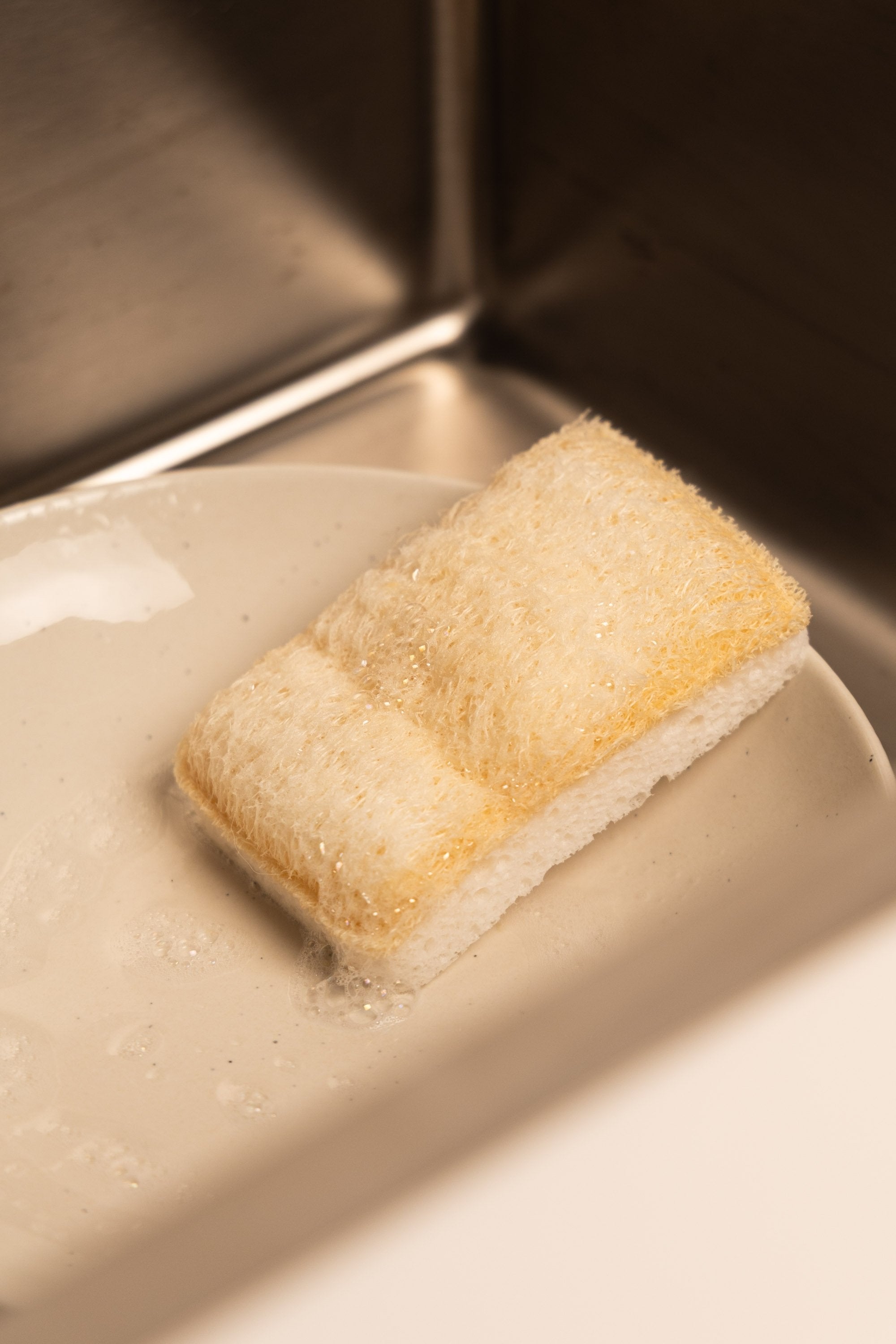 Scheuerschwamm (im Set)