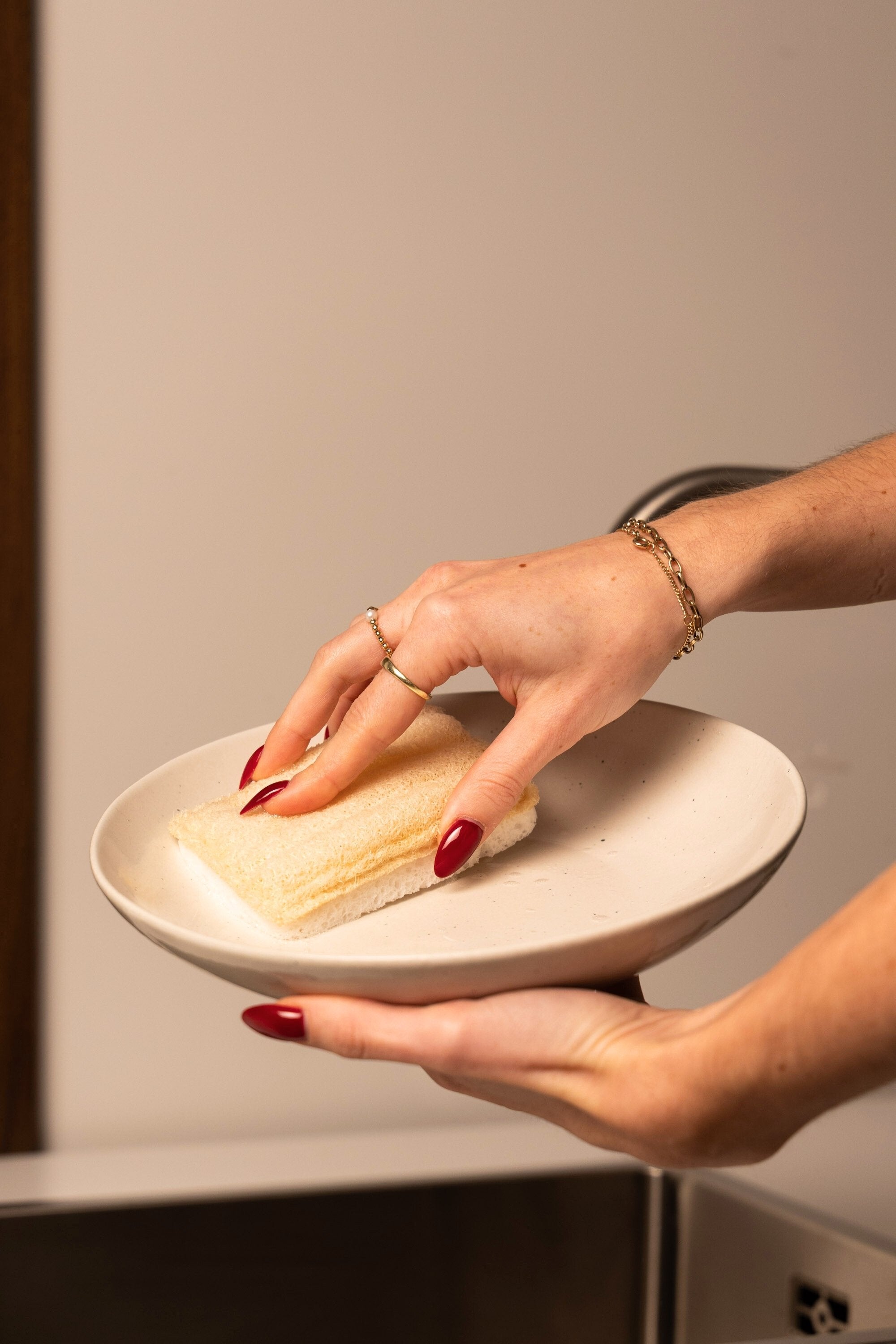 Scheuerschwamm (im Set)