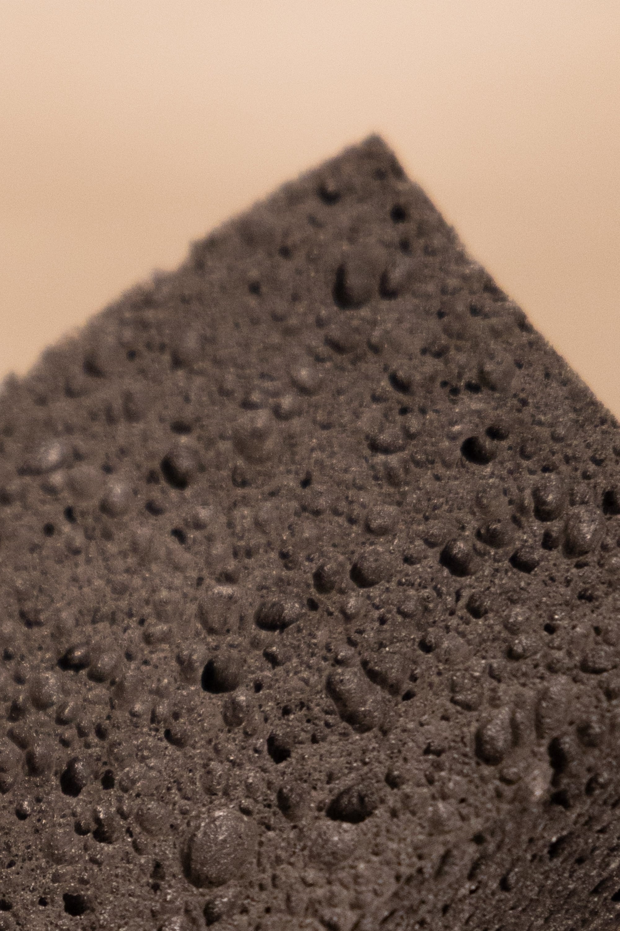 Pop-Up Schwamm (im Set)