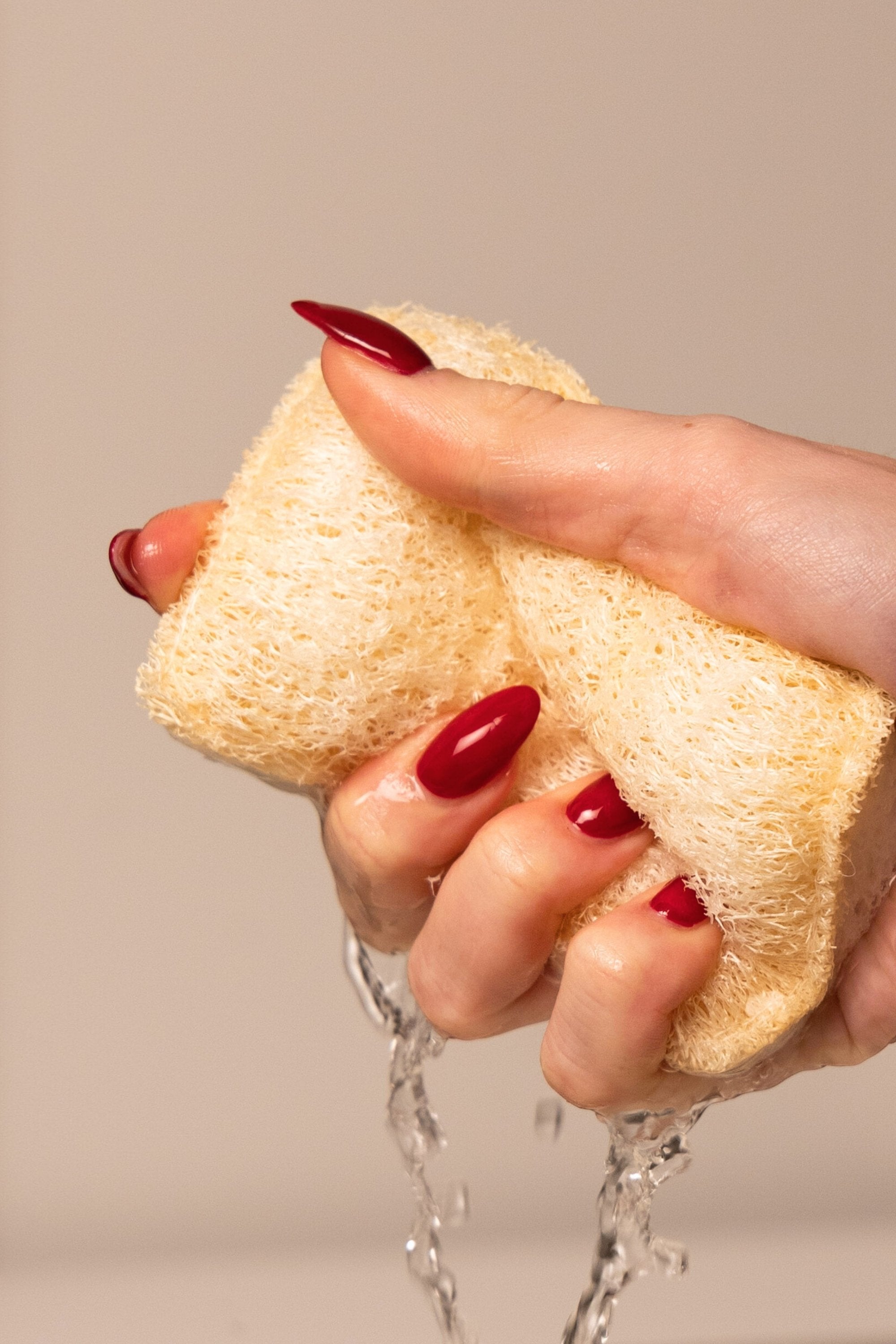 Scheuerschwamm (im Set)