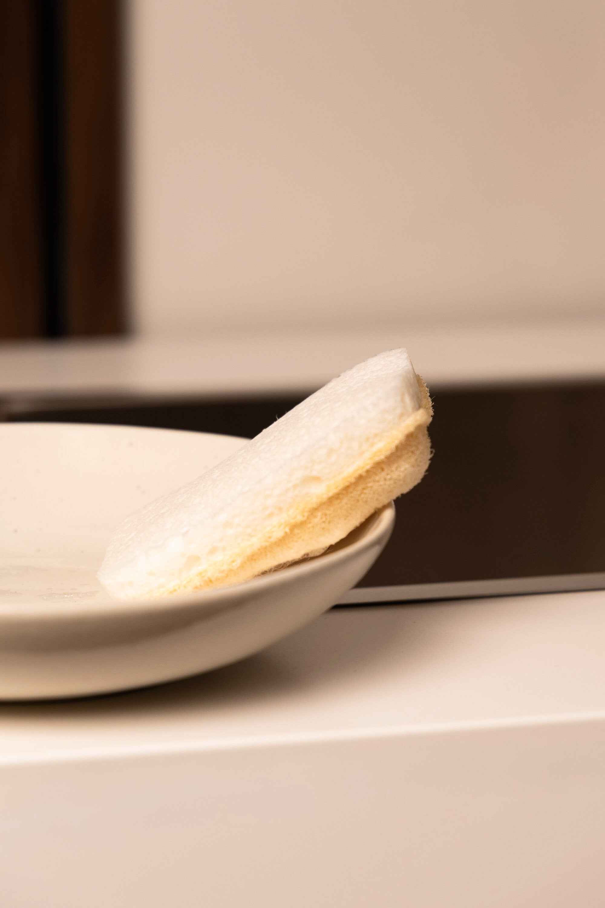 Scheuerschwamm (im Set)