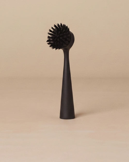 Dish Brush